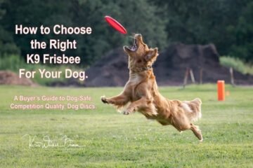 Creative Ways to Keep Fit - Frisbee Fun